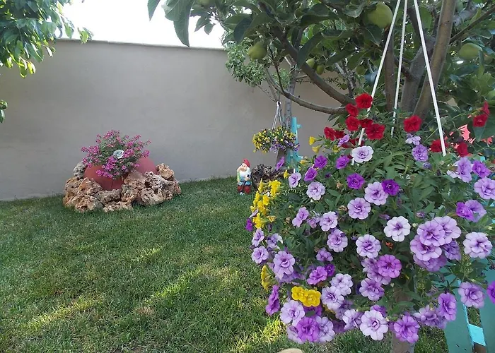 Iria's Luxury アパート